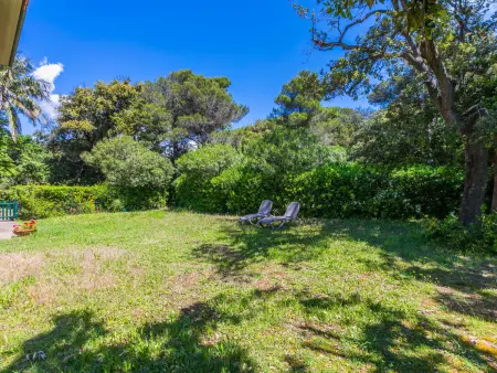 Gîte Mare à Castiglioncello, vue mer et accès plage : photo 43
