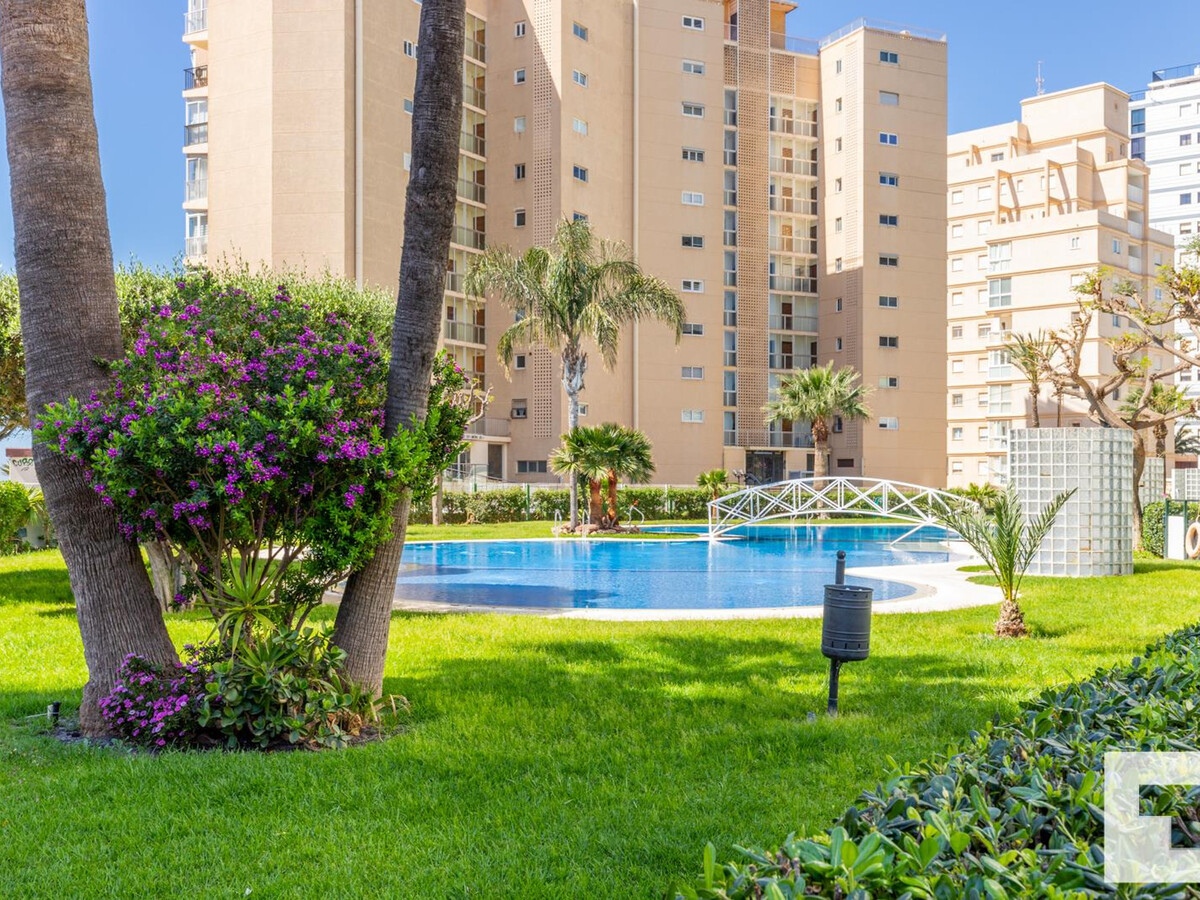Appart 3 ch, 11e étage vue mer, piscine & tennis à Calpe - Photo 1