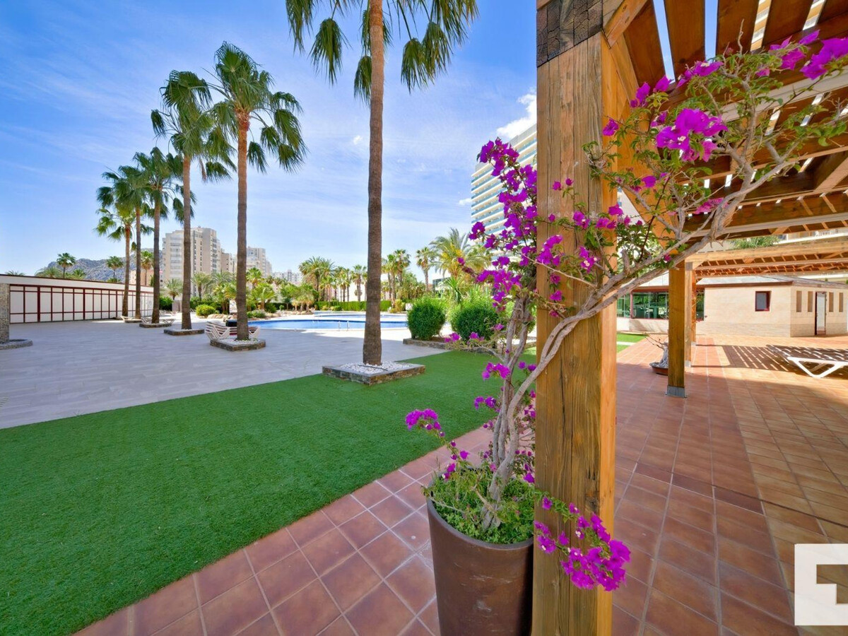 Appartement 4 pers. Calpe, 18e étage, 3 piscines près plage - Photo 32