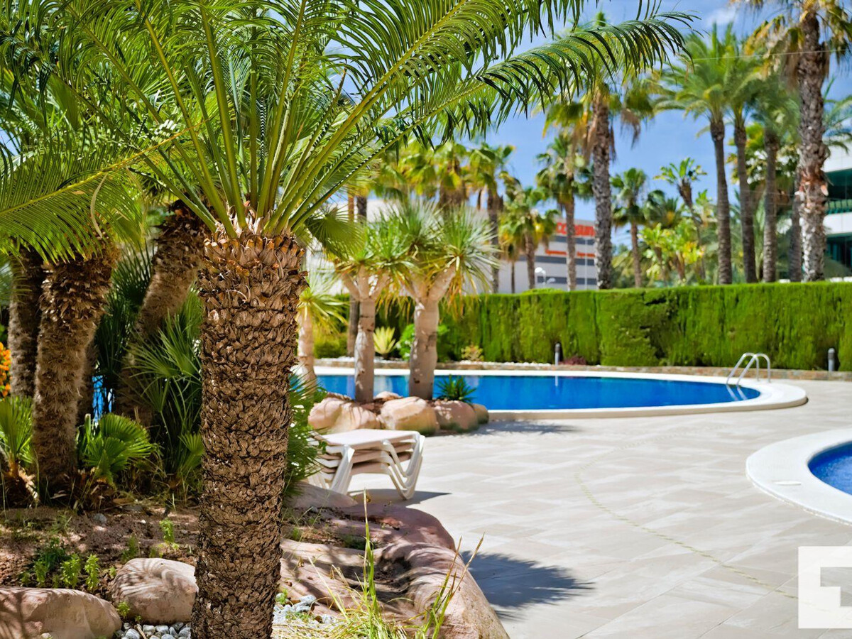 Appartement 6 pers. plage Levante Calpe, 3 piscines - Photo 31
