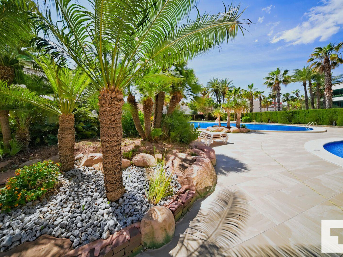 Appartement 6 pers. plage Levante Calpe, 3 piscines - Photo 33