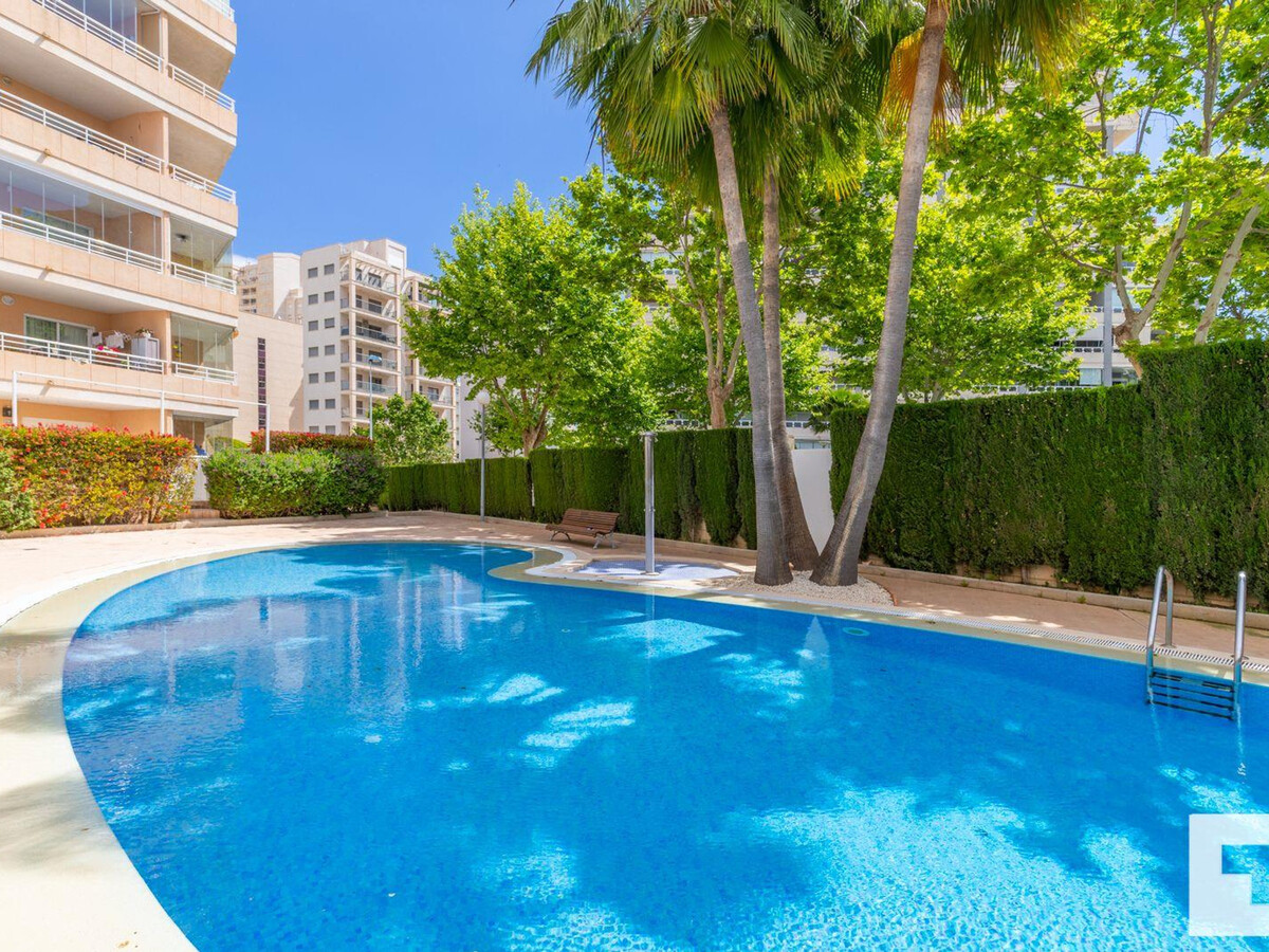 Appartement moderne 8e étage, 200m plage Levante Calp - Photo 3