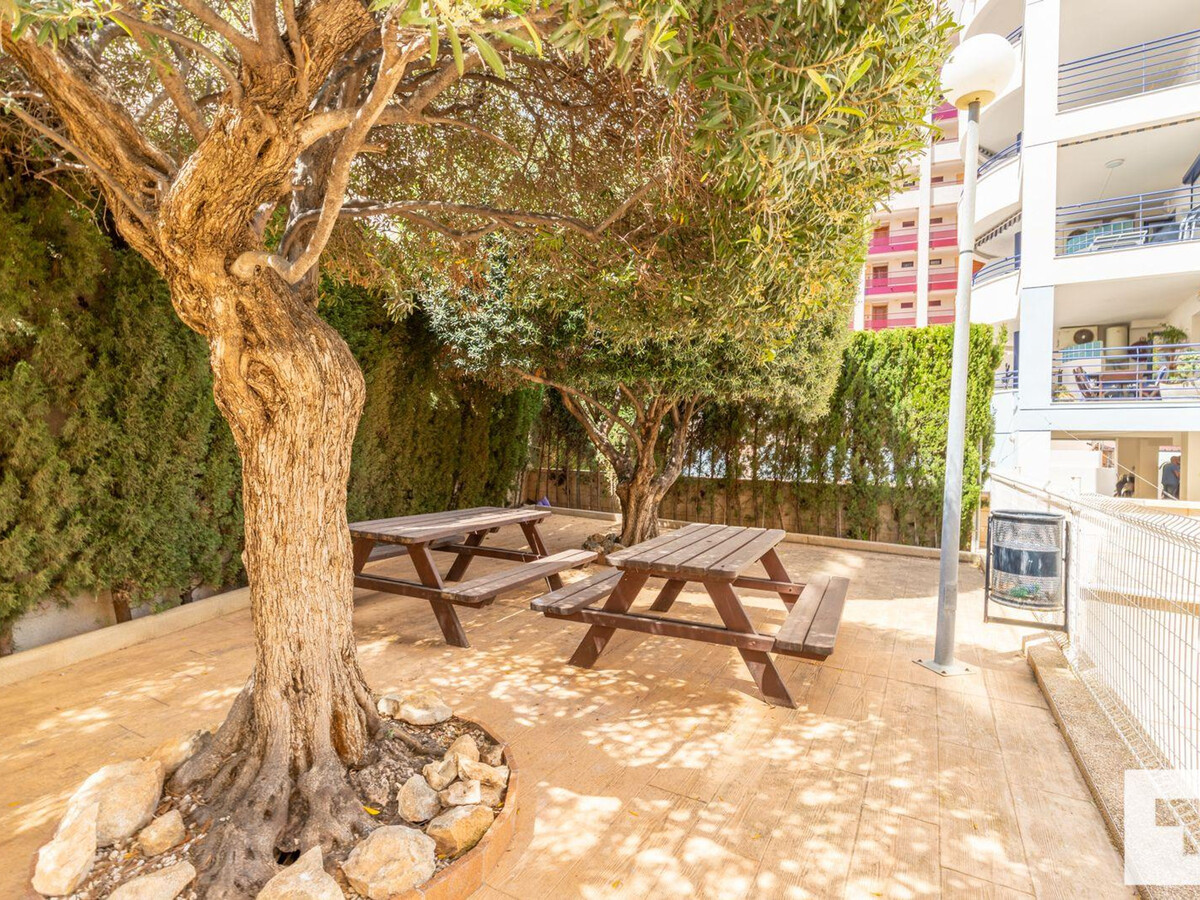 Appartement moderne 8e étage, 200m plage Levante Calp - Photo 31
