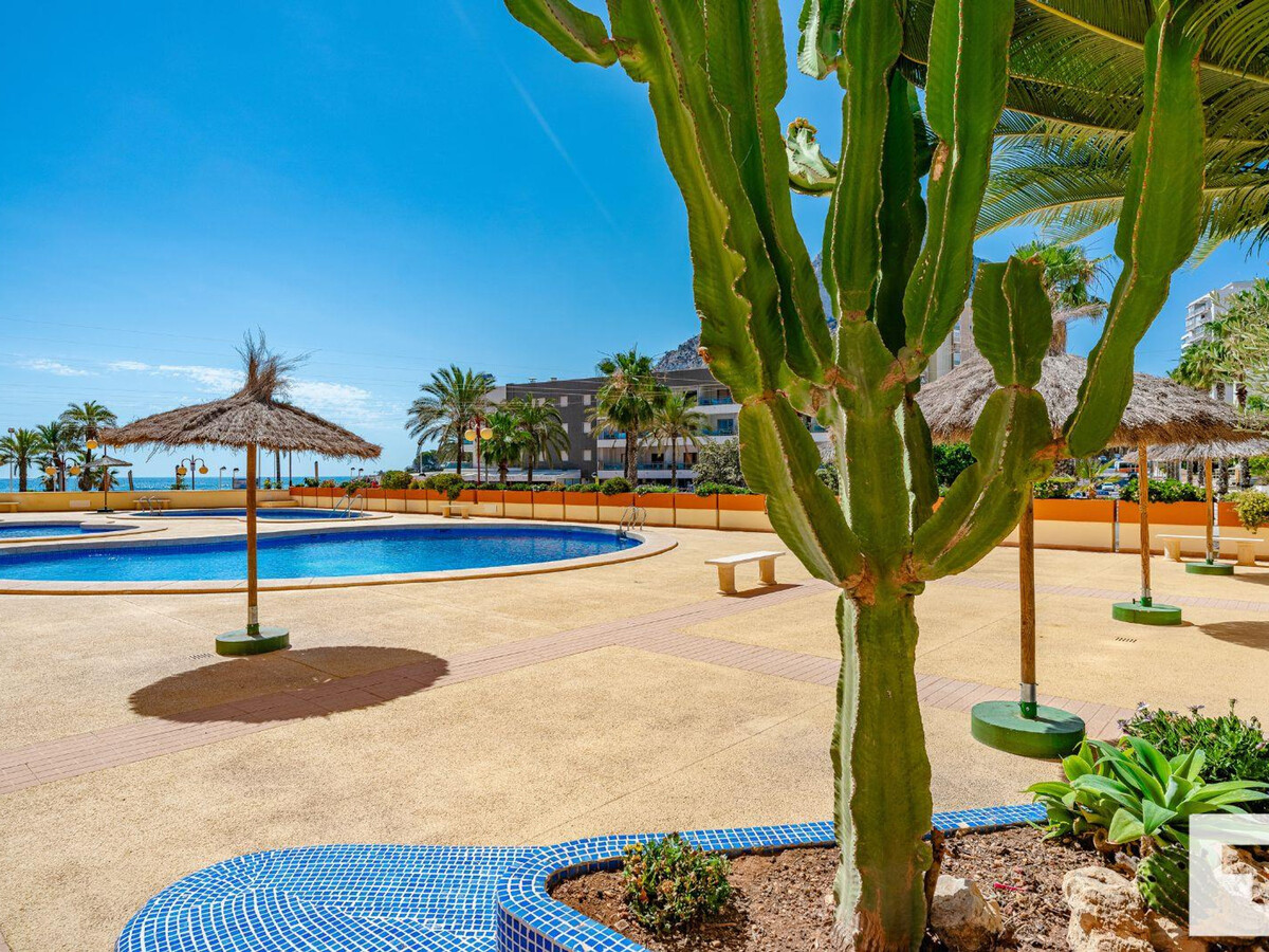 Appartement face à la mer à Calpe, 4 pers, terrasse vue baie - Photo 4