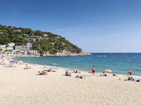 Maison 6 pers. jardin & terrasse, 600m plage Llafranc - Photo 15