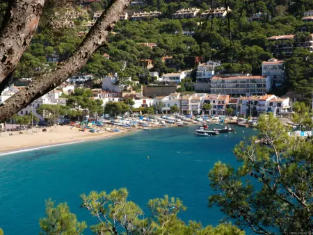 Maison 6 pers. jardin & terrasse, 600m plage Llafranc - Photo 22