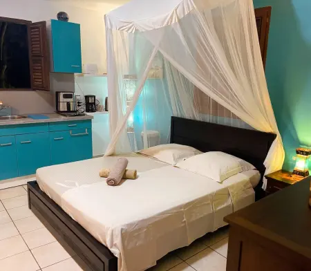 Studio avec terrasse et vue montagne au Robert, Martinique : photo 21