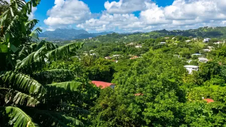 Studio avec terrasse et vue montagne au Robert, Martinique : photo 28