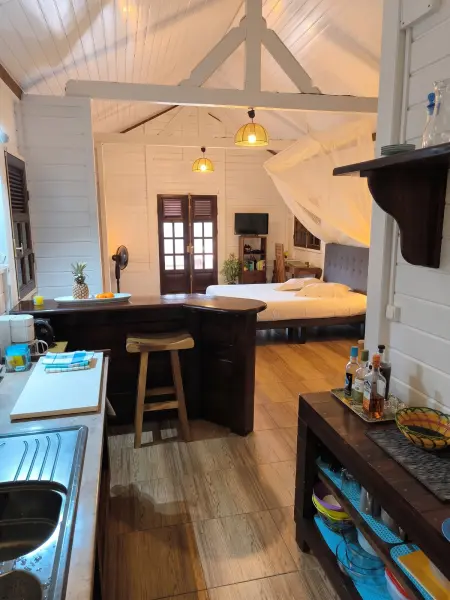 Studio avec terrasse et vue montagne au Robert, Martinique : photo 12