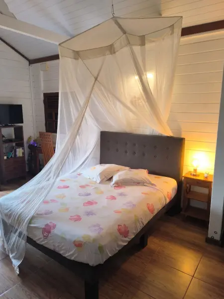Studio avec terrasse et vue montagne au Robert, Martinique : photo 22