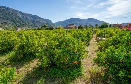 Can Sivella Groc, Maison 6 personnes à Sóller - Photo 8