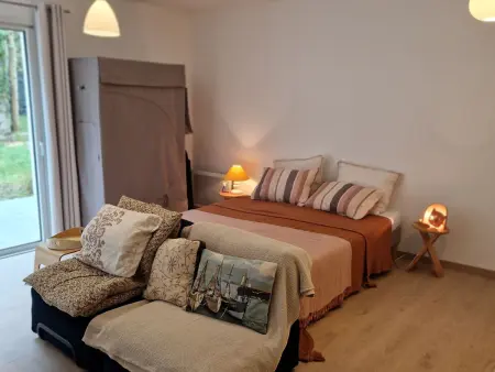 Studio neuf avec terrasse et jardin au Palais - Photo 8