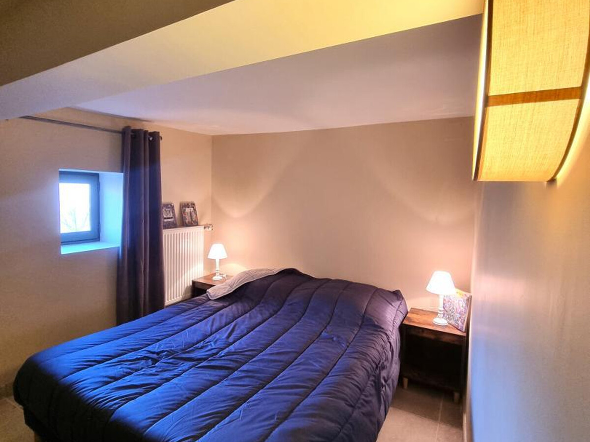 Gîte 250 m² Le Crozet : jacuzzi, 12 pers, animaux - Photo 16