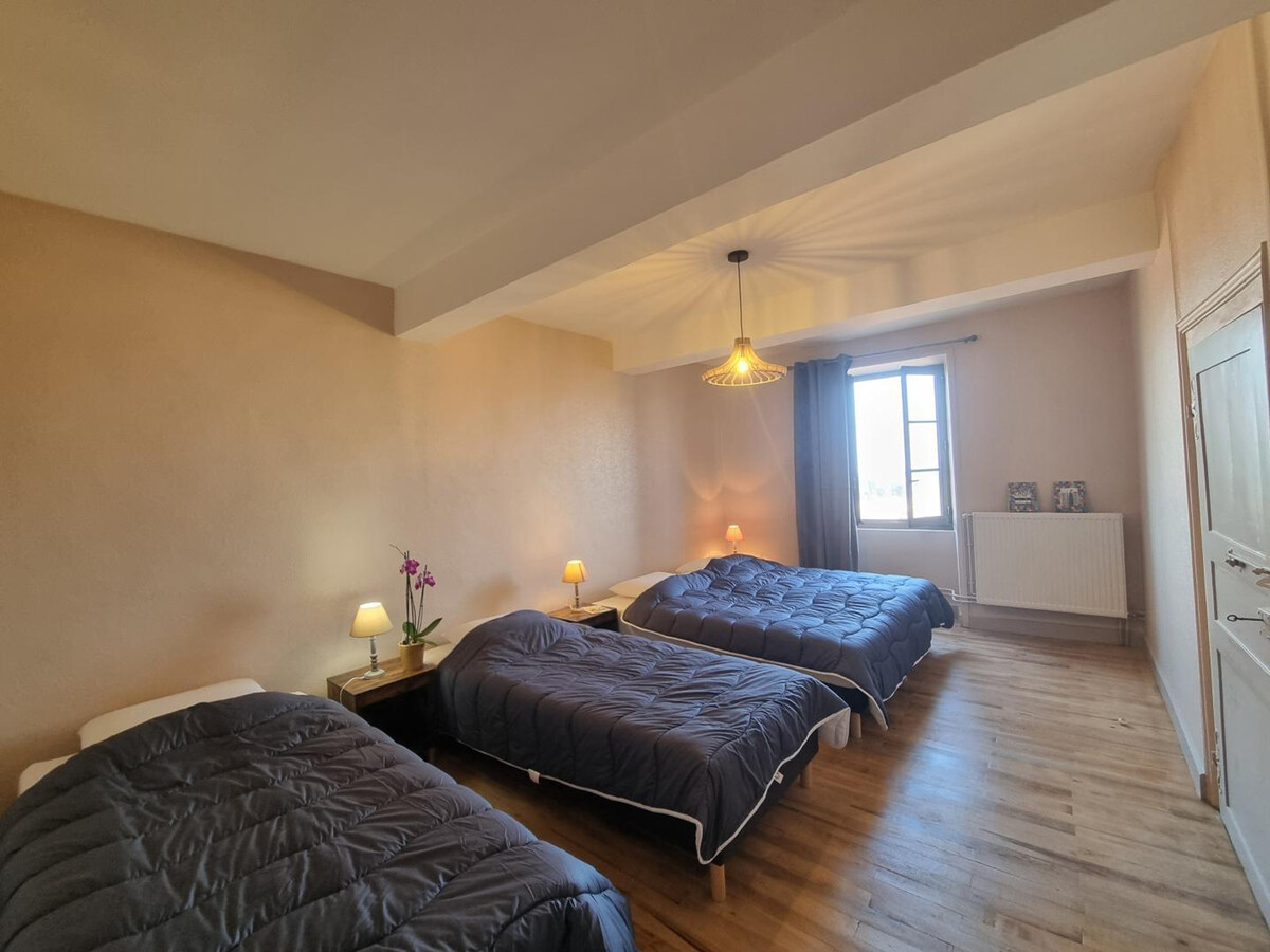 Gîte 250 m² Le Crozet : jacuzzi, 12 pers, animaux - Photo 23