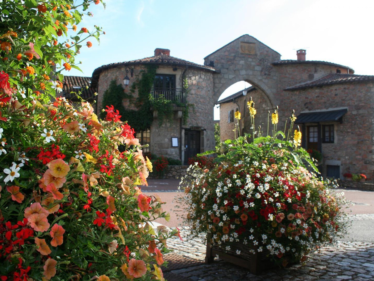 Gîte 250 m² Le Crozet : jacuzzi, 12 pers, animaux - Photo 27