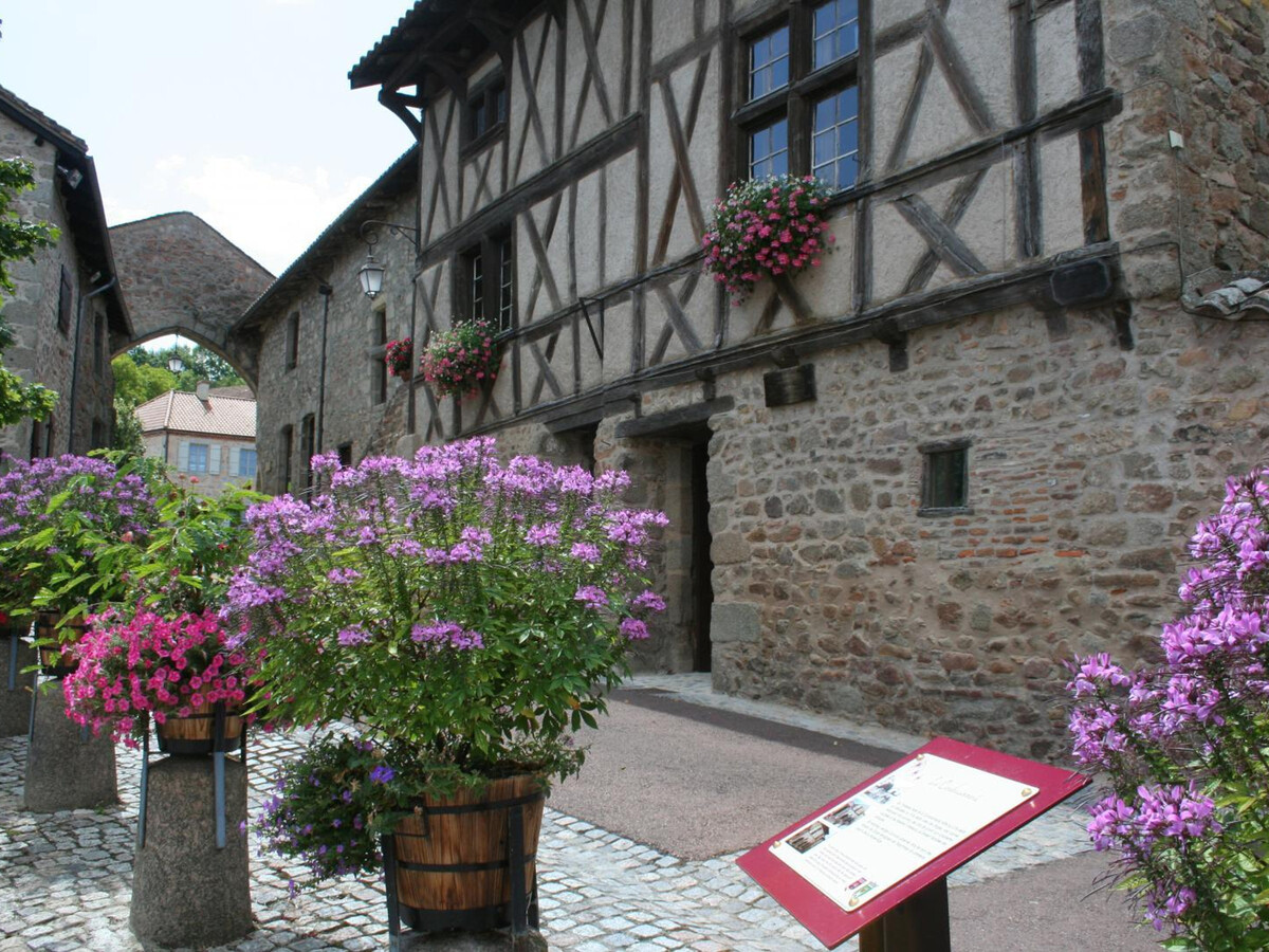 Gîte 250 m² Le Crozet : jacuzzi, 12 pers, animaux - Photo 28
