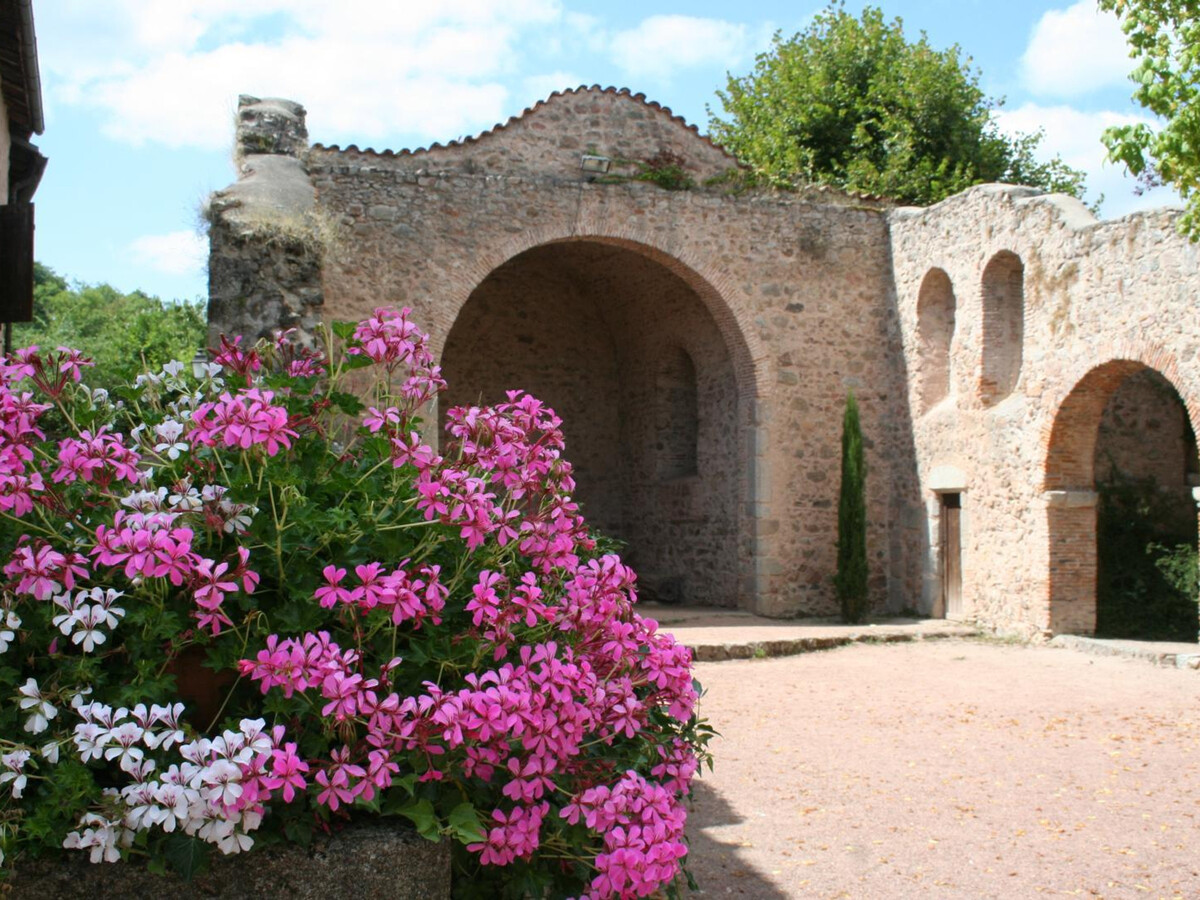 Gîte 250 m² Le Crozet : jacuzzi, 12 pers, animaux - Photo 30