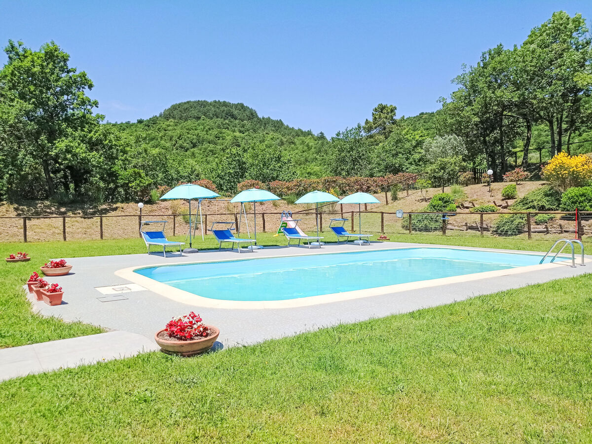 La Coccinella, gîte 8 pers. avec piscine à Cortona - Photo 2
