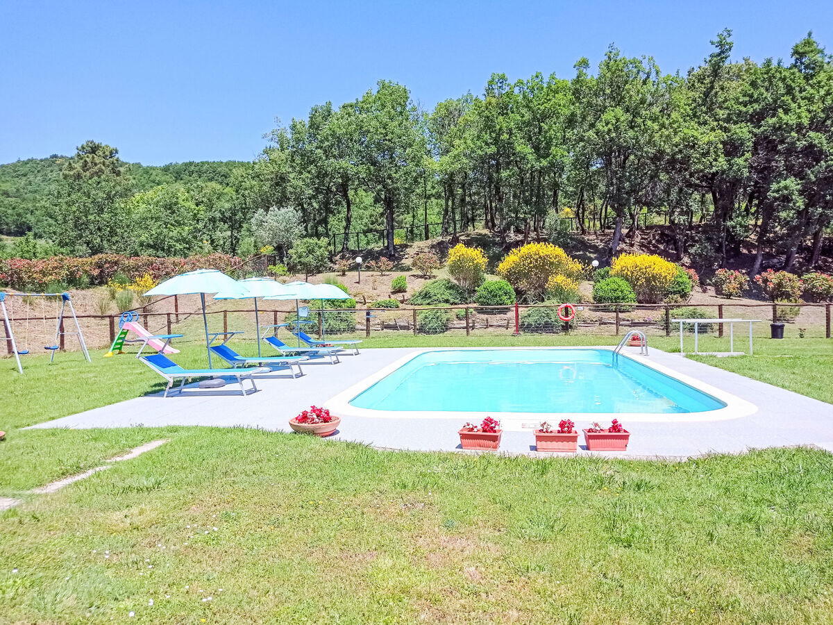 La Coccinella, gîte 8 pers. avec piscine à Cortona - Photo 4