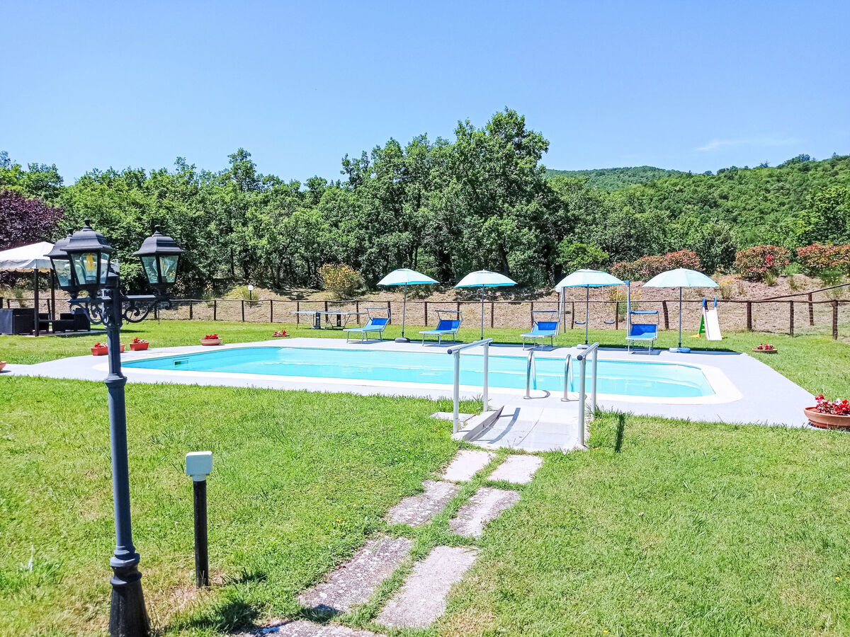La Coccinella, gîte 8 pers. avec piscine à Cortona - Photo 16