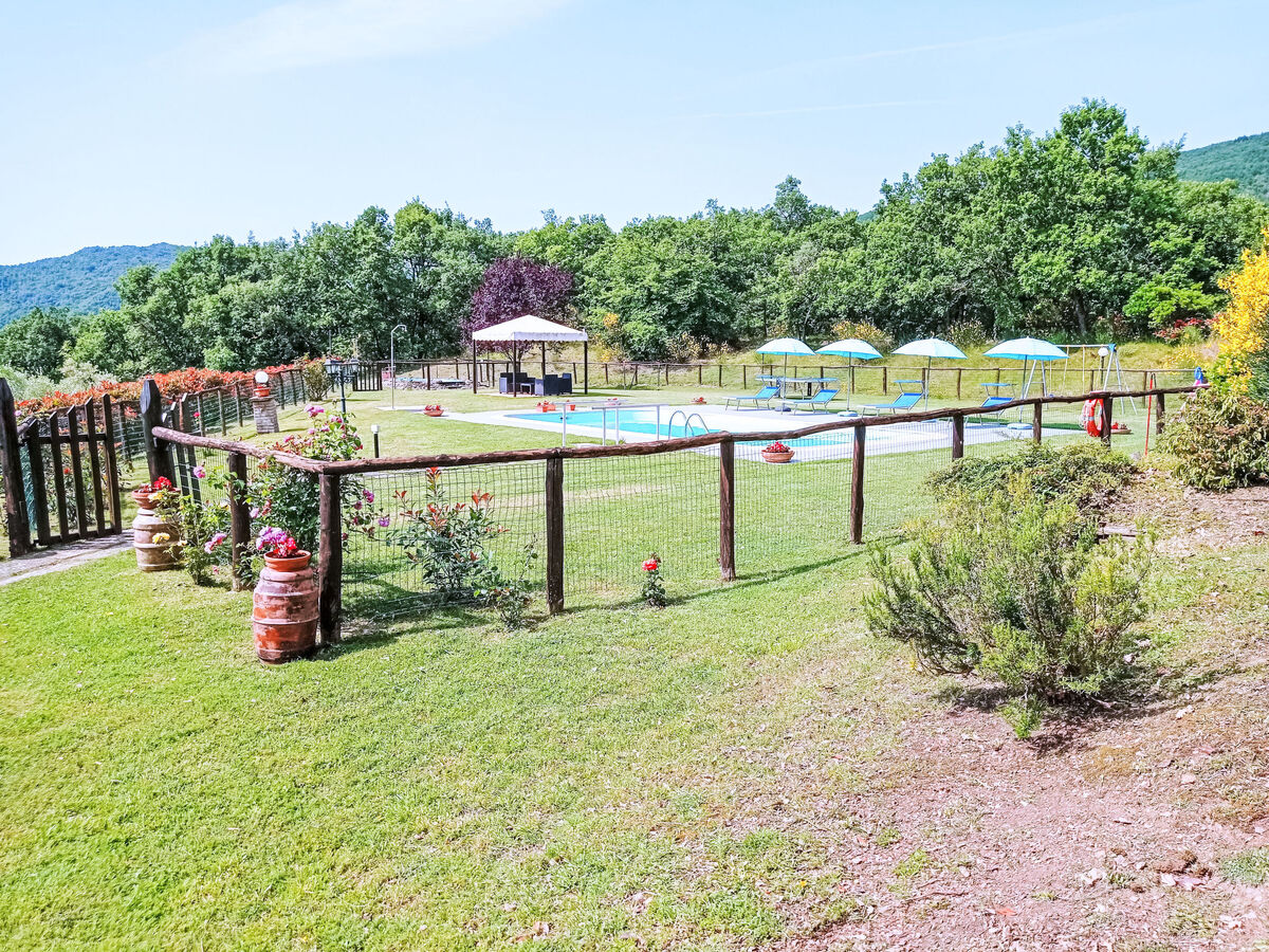 La Coccinella, gîte 8 pers. avec piscine à Cortona - Photo 17