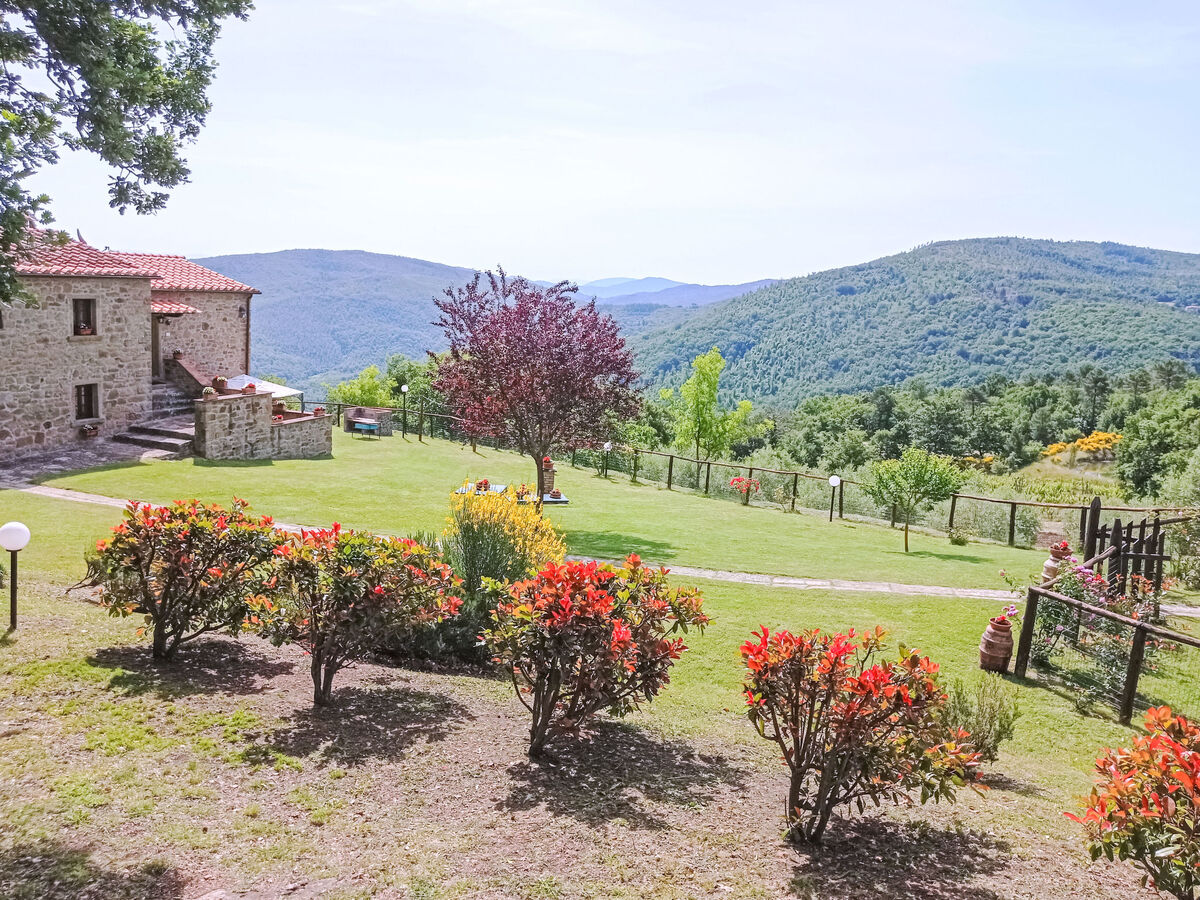 La Coccinella, gîte 8 pers. avec piscine à Cortona - Photo 18