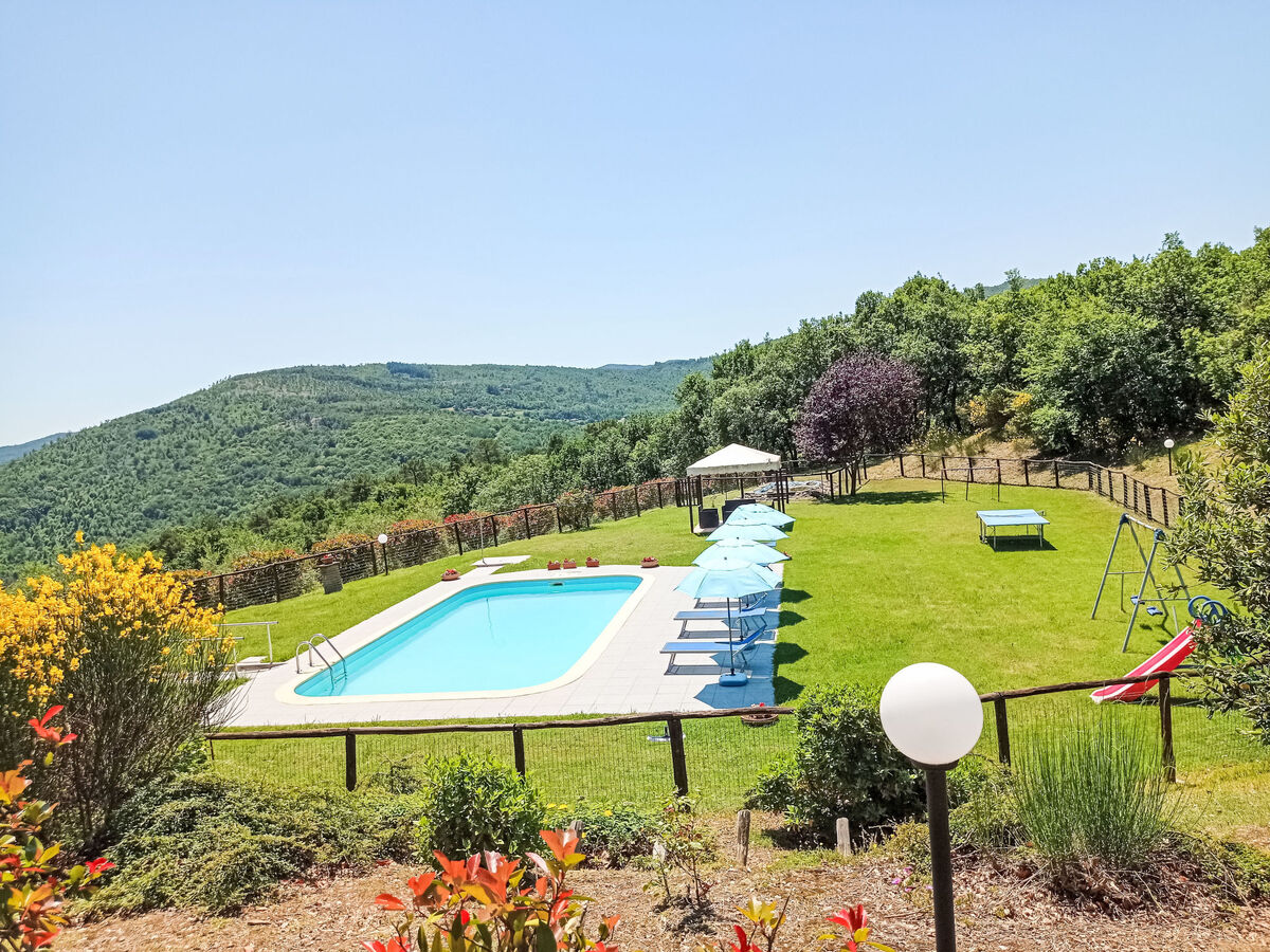 La Coccinella, gîte 8 pers. avec piscine à Cortona - Photo 22