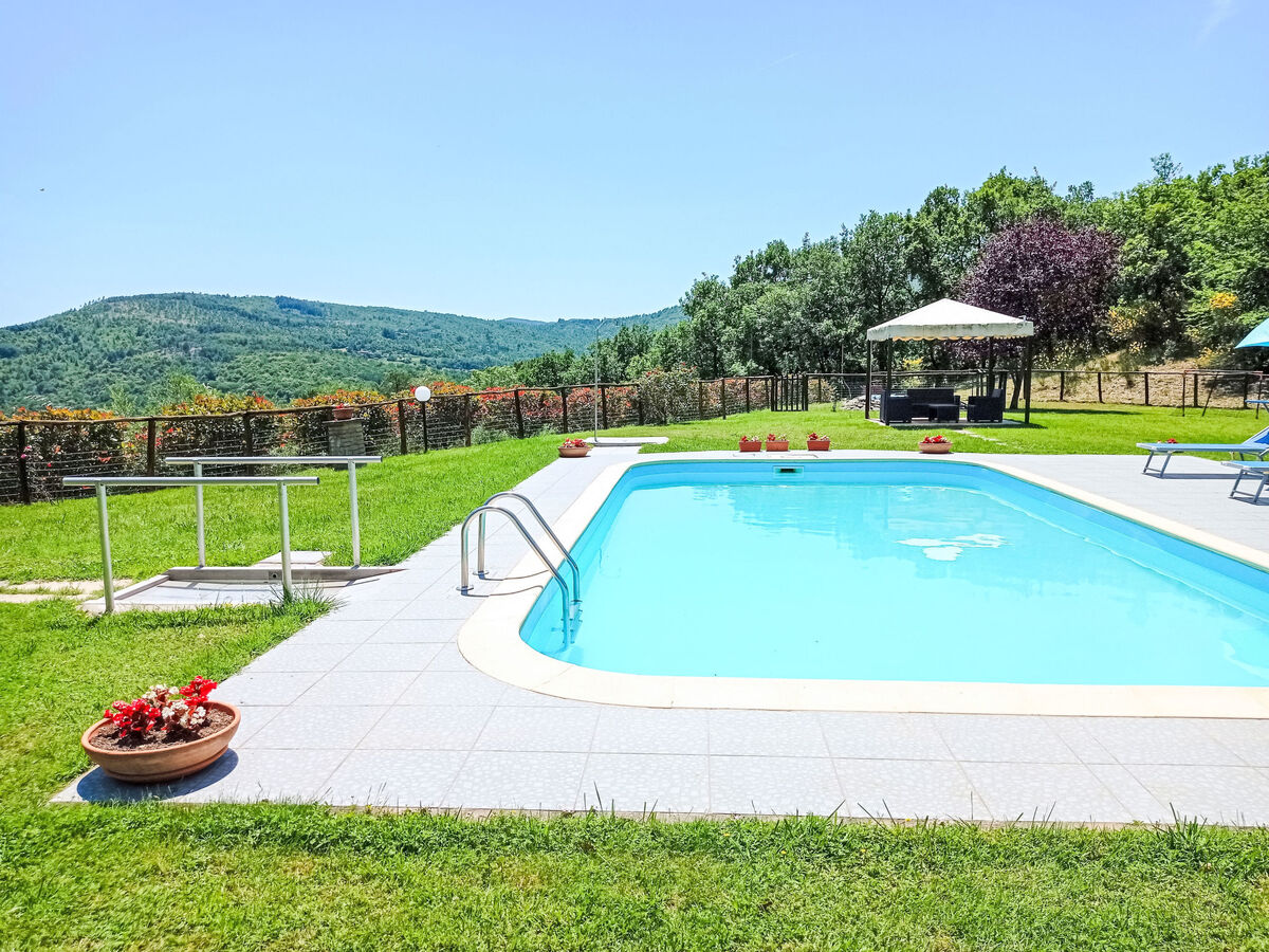 La Coccinella, gîte 8 pers. avec piscine à Cortona - Photo 24