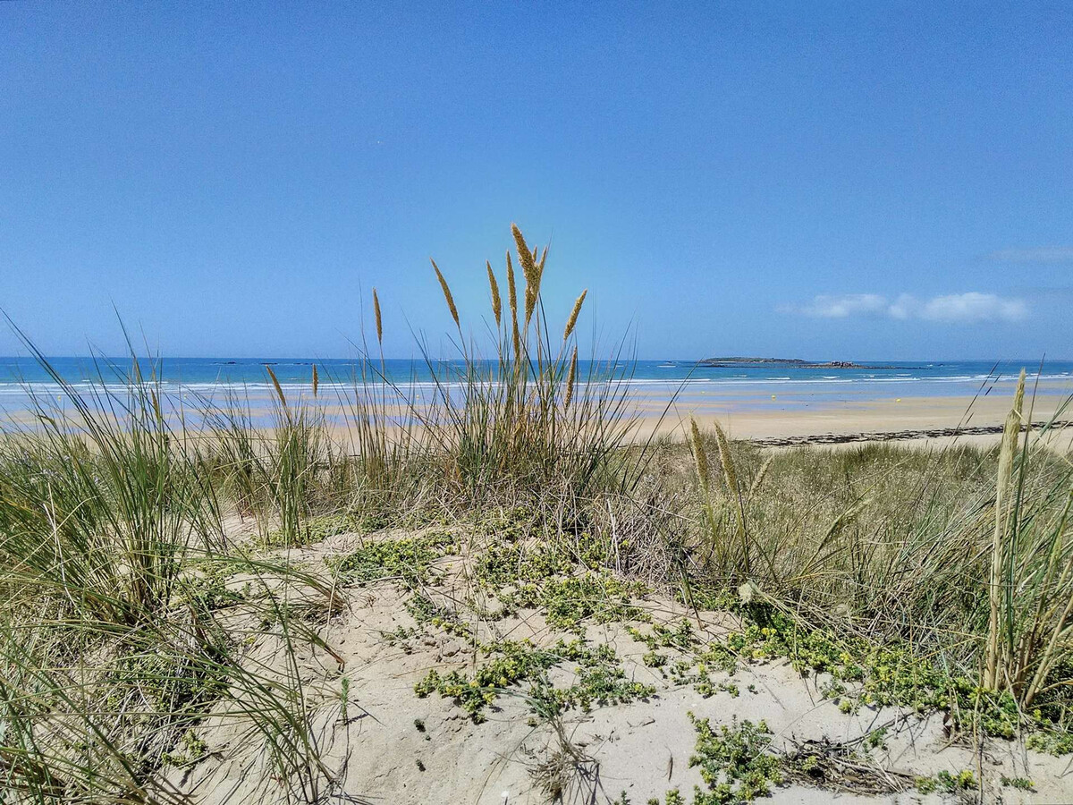 Maison 8 pers à 500m de la plage à Erdeven - Photo 23