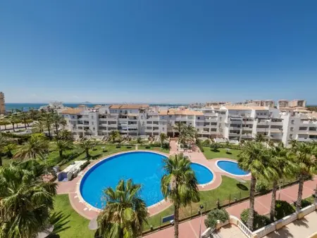 Appartement 3 chambres, 3 salles de bain à San Javier : photo 2