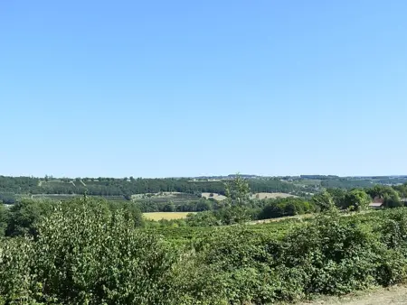 Maison avec piscine privée et vignes, Gageac-et-Rouillac : photo 8