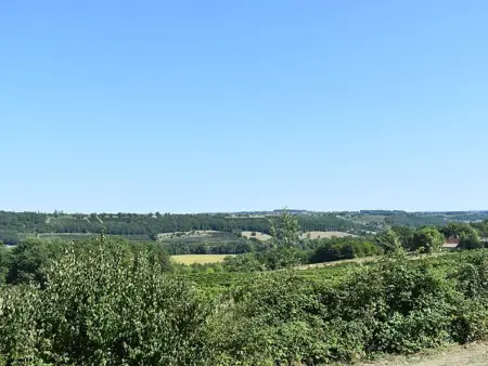 Maison avec piscine privée et vignes, Gageac-et-Rouillac : photo 25