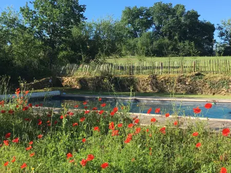 Maison en pierre avec piscine privée près de Trémolat, Paunat : photo 4