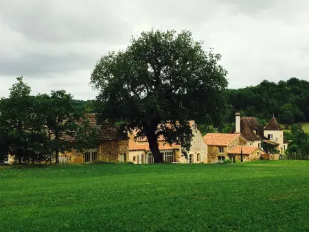 Maison en pierre avec piscine privée près de Trémolat, Paunat : photo 27