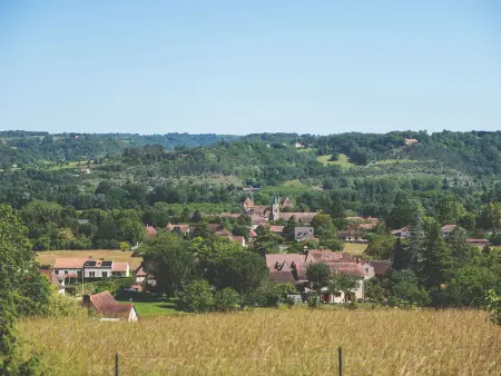 Maison en pierre avec piscine privée à Siorac-en-Périgord : photo 30