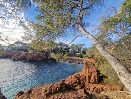 Appartement 3 pièces vue mer à 200m des plages : photo 22