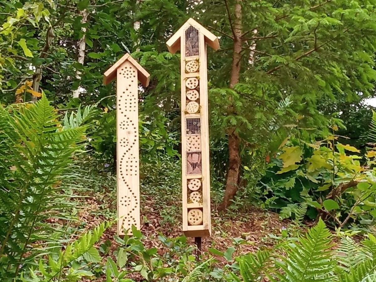 Maix le Renard, gîte vosgien 4 pers. avec espace enfants - Photo 25