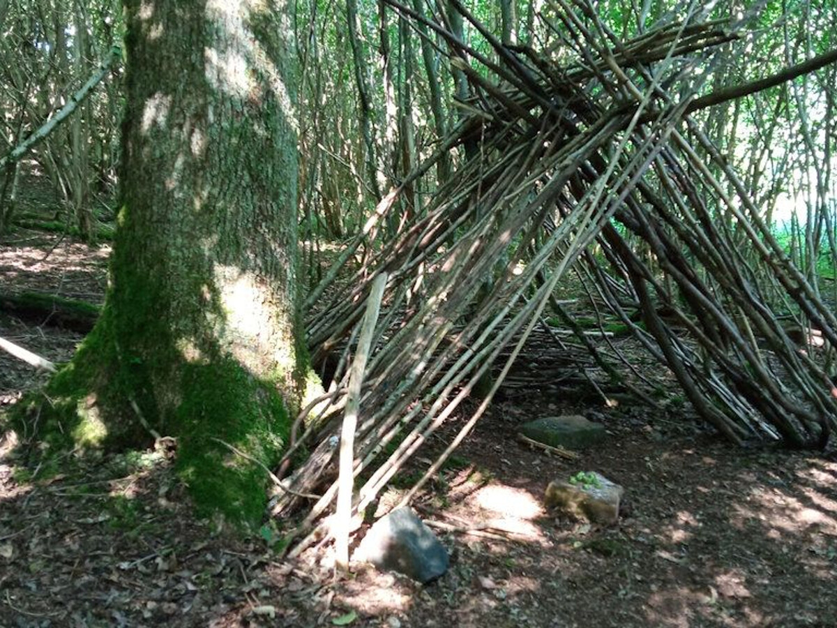 Maix le Renard, gîte vosgien 4 pers. avec espace enfants - Photo 28