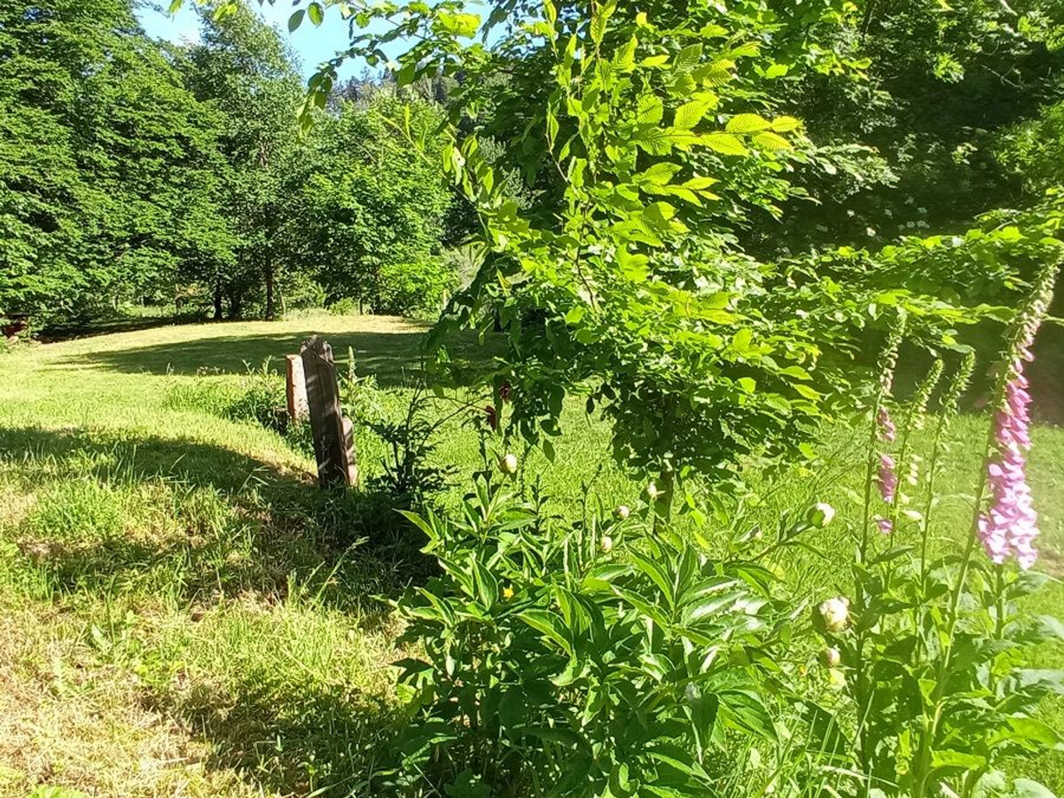 Maix le Renard, gîte vosgien 4 pers. avec espace enfants - Photo 30