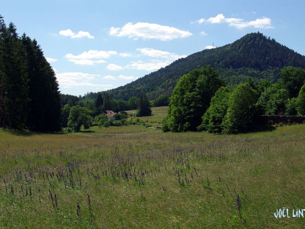 Maix le Renard, gîte vosgien 4 pers. avec espace enfants - Photo 31