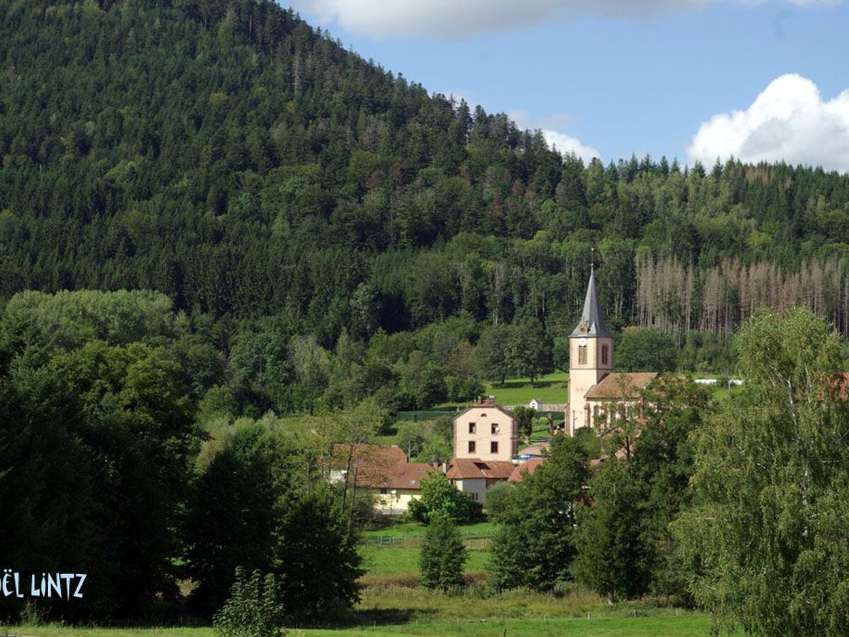 Maix le Renard, gîte vosgien 4 pers. avec espace enfants - Photo 32