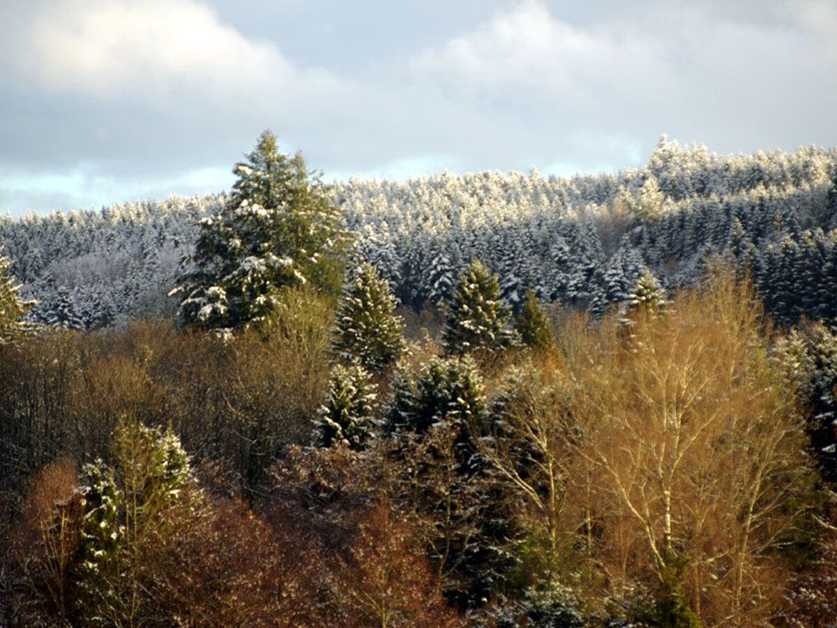 Maix le Renard, gîte vosgien 4 pers. avec espace enfants - Photo 33