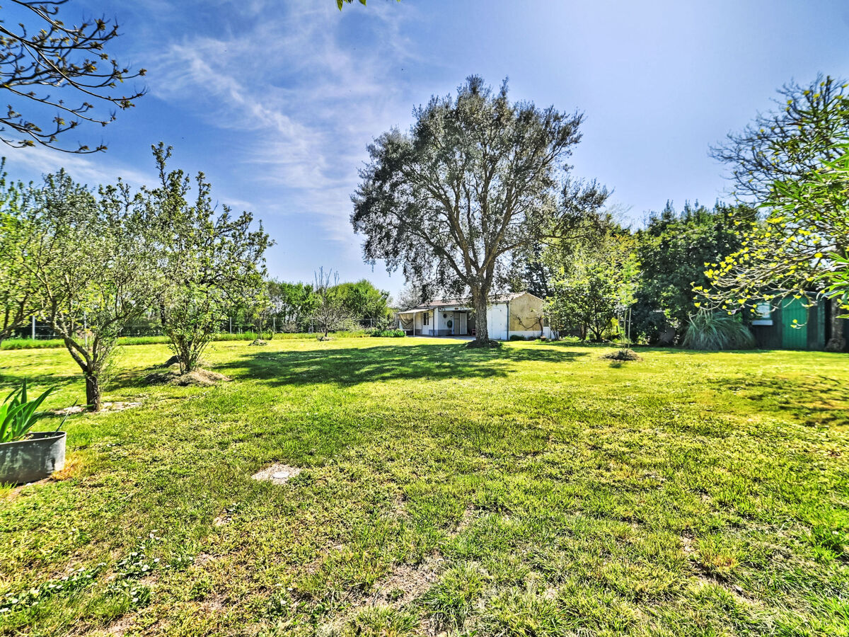 Maison avec jardin clos et pétanque – Île d'Oléron - Photo 37