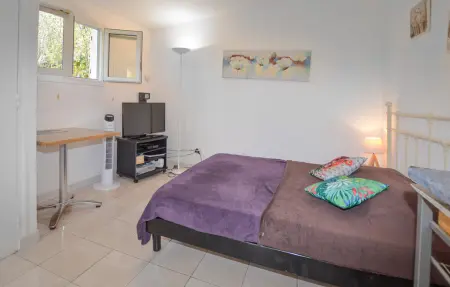 Studio avec piscine privée à Oletta : photo 4