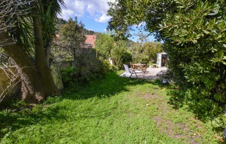 Studio avec piscine privée à Oletta : photo 14