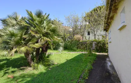 Studio avec piscine privée à Oletta : photo 15