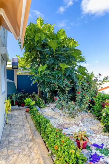 Appartement avec piscine privée et vue mer à Pointe-Noire : photo 11