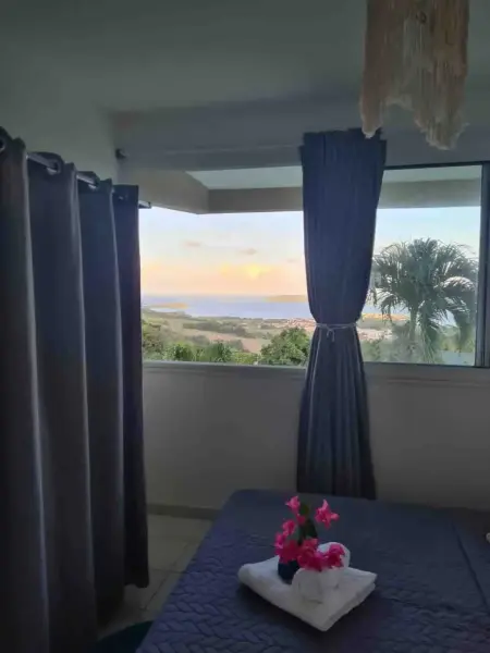 Appartement vue mer avec terrasse au Robert, Martinique : photo 15