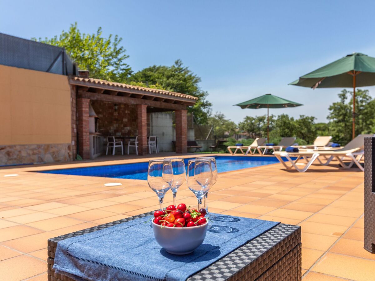 Esteva, maison 6 pers. avec piscine à Maçanet - Photo 21