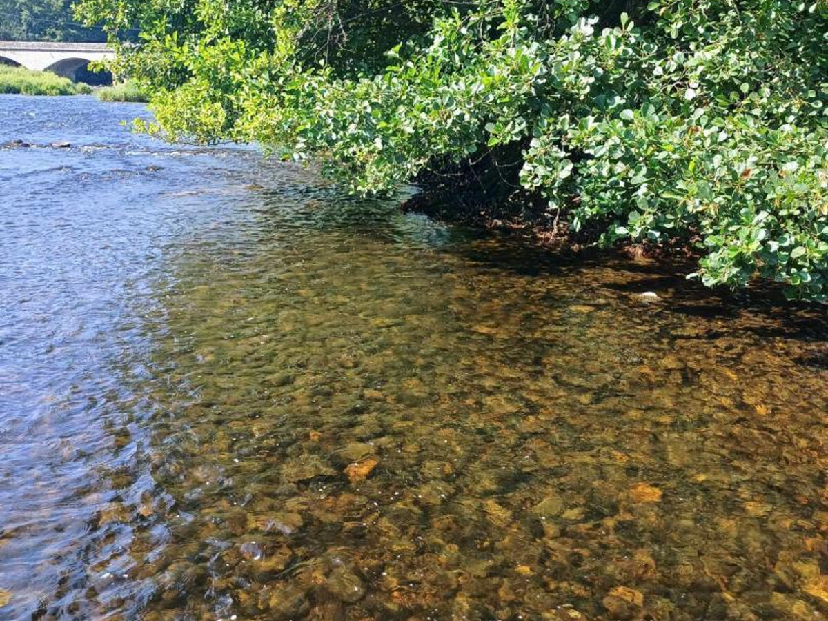 Gîte 2 pers. à proximité de la rivière à Jenzat - Photo 18